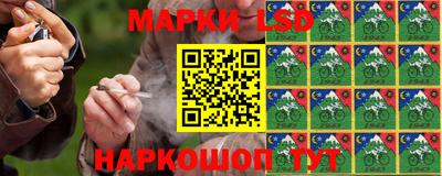 индика Гусь-Хрустальный