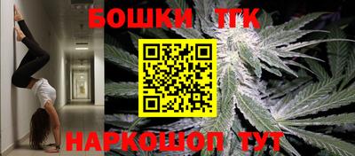 индика Гусь-Хрустальный