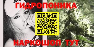 ПСИЛОЦИБИНОВЫЕ ГРИБЫ Гусев
