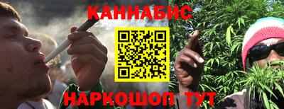 индика Гусь-Хрустальный