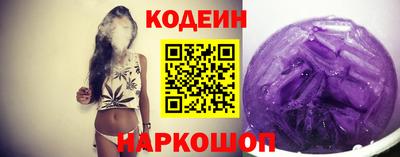 индика Гусь-Хрустальный
