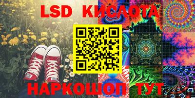 ПСИЛОЦИБИНОВЫЕ ГРИБЫ Гусев