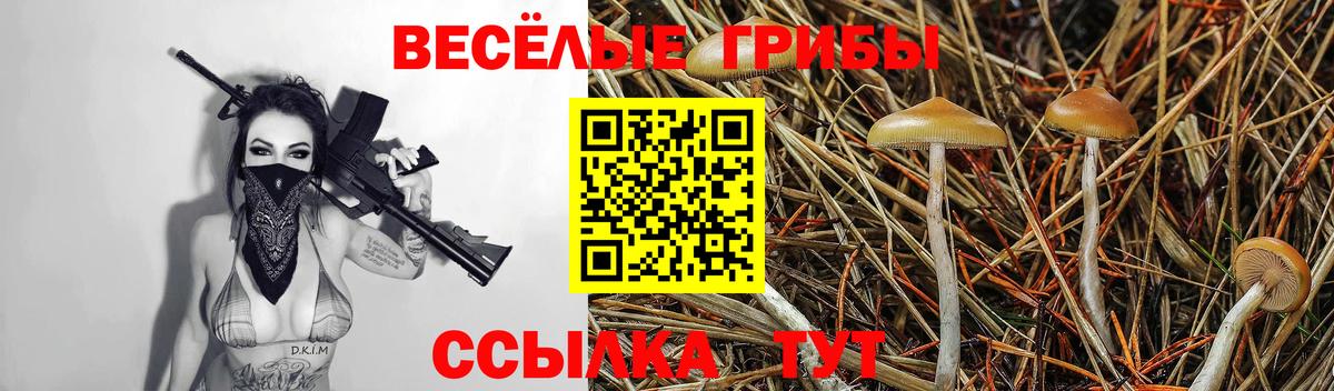 Переславль-Залесский  Галлюциногенные грибы прущие грибы  Вход с VPN 