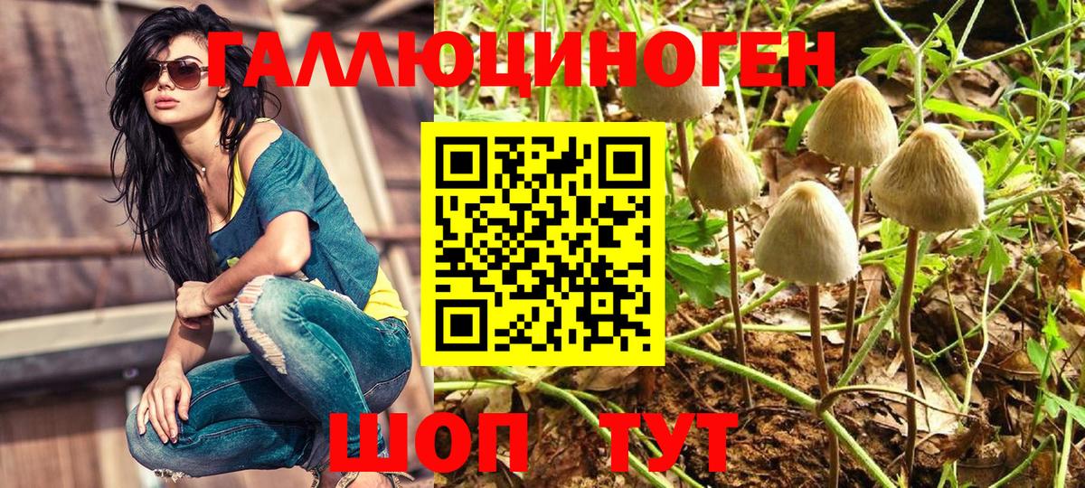 Псилоцибиновые грибы Cubensis Переславль-Залесский